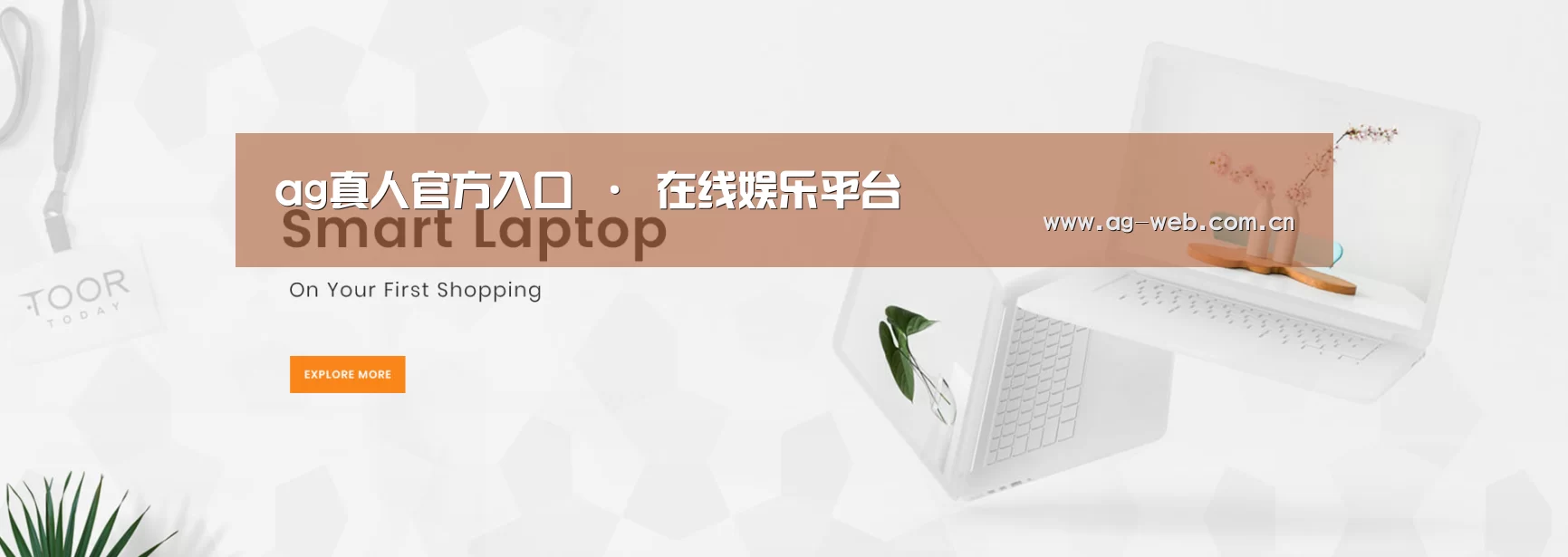 某某网络科技有限公司