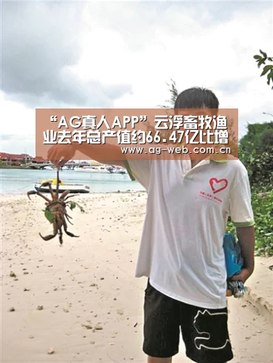 “AG真人APP”云浮畜牧渔业去年总产值约66.47亿比增6.95%(图2) ag真人