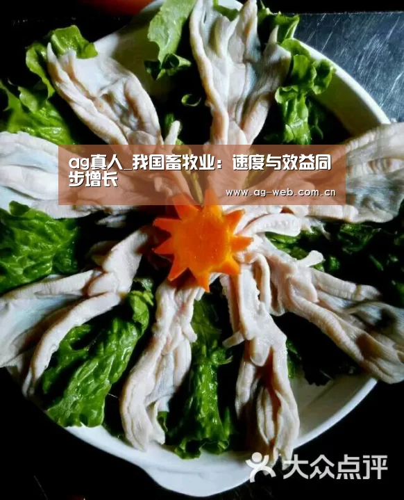 ag真人入口