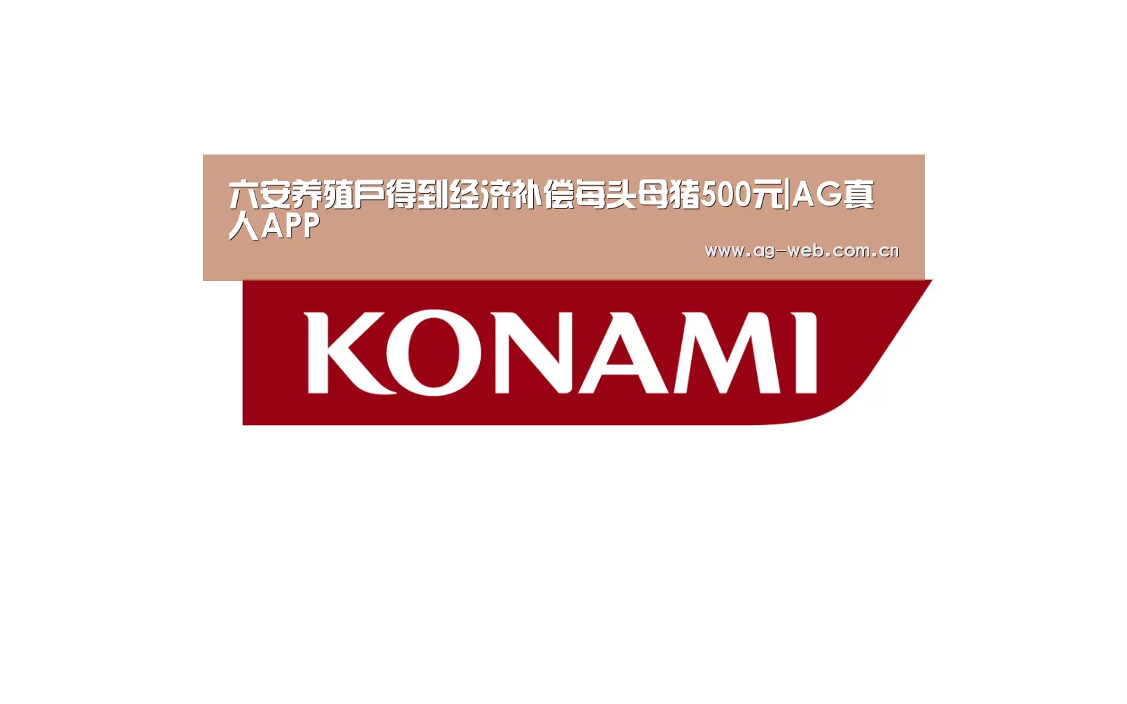 六安养殖户得到经济补偿每头母猪500元|AG真人APP(图2) ag真人