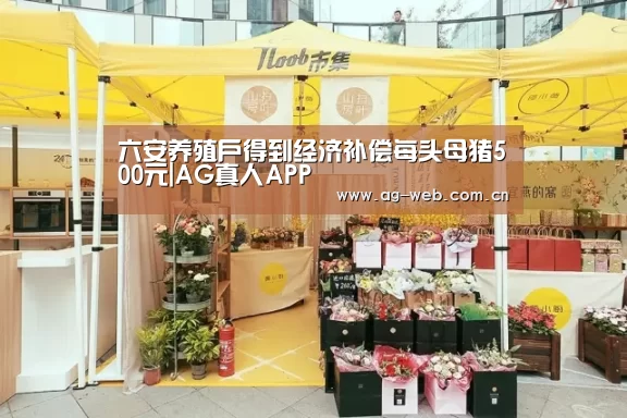 六安养殖户得到经济补偿每头母猪500元|AG真人APP(图4) ag真人