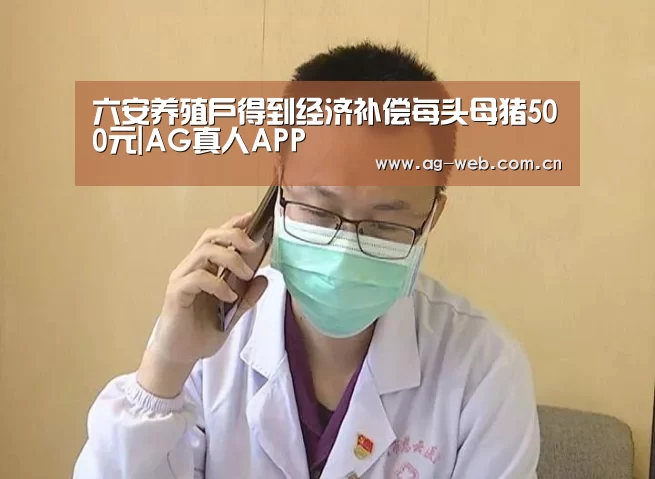 六安养殖户得到经济补偿每头母猪500元|AG真人APP(图3) ag真人注册