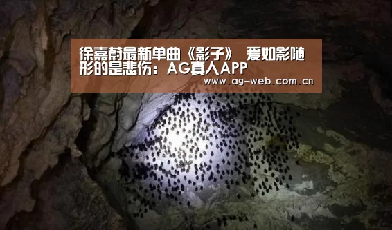 徐嘉蔚最新单曲《影子》 爱如影随形的是悲伤:AG真人APP(图1) ag真人