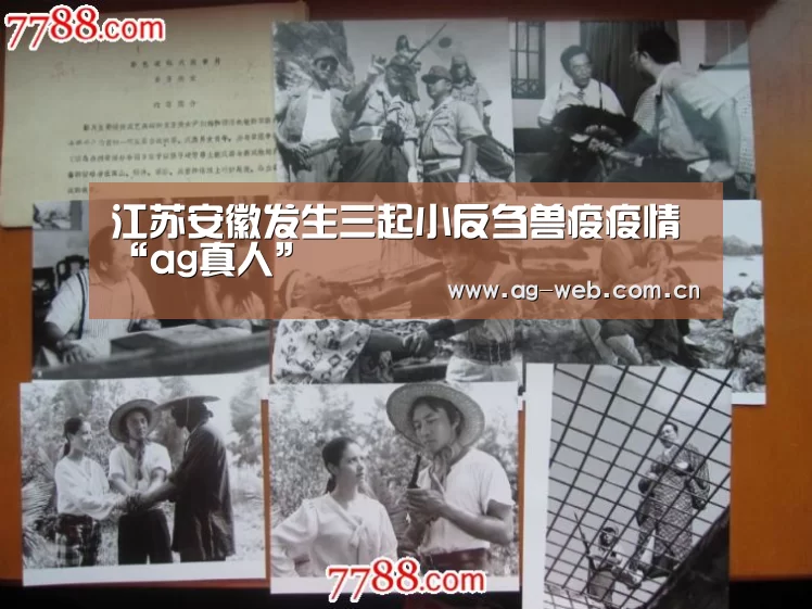 江苏安徽发生三起小反刍兽疫疫情“ag真人”(图4) ag真人注册