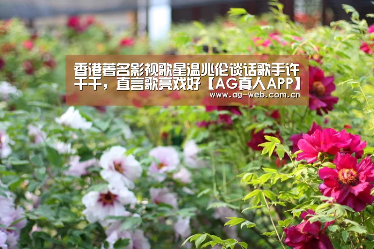 AG真人APP