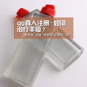 AG真人APP
